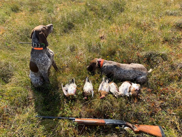 hunting345