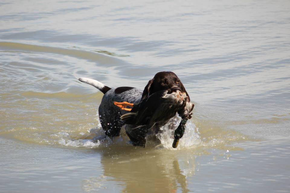thumbnail_11896100_1618474275070616_293288831092566408_n