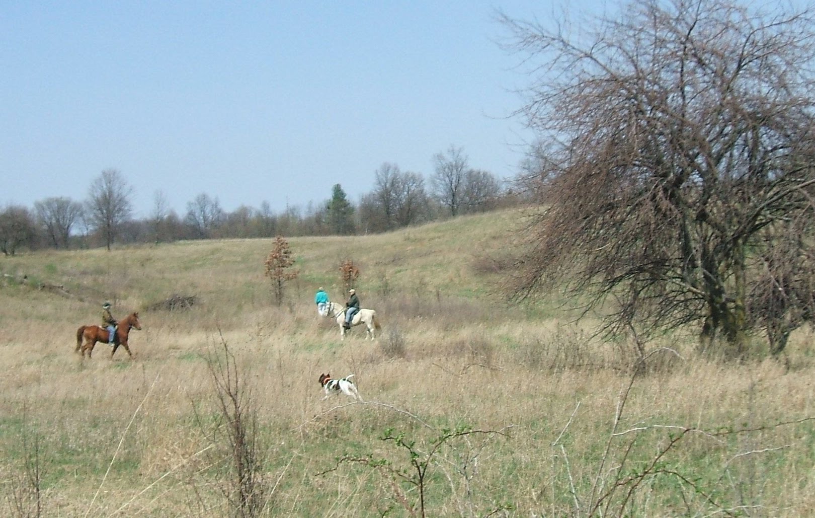 Floyd (1)